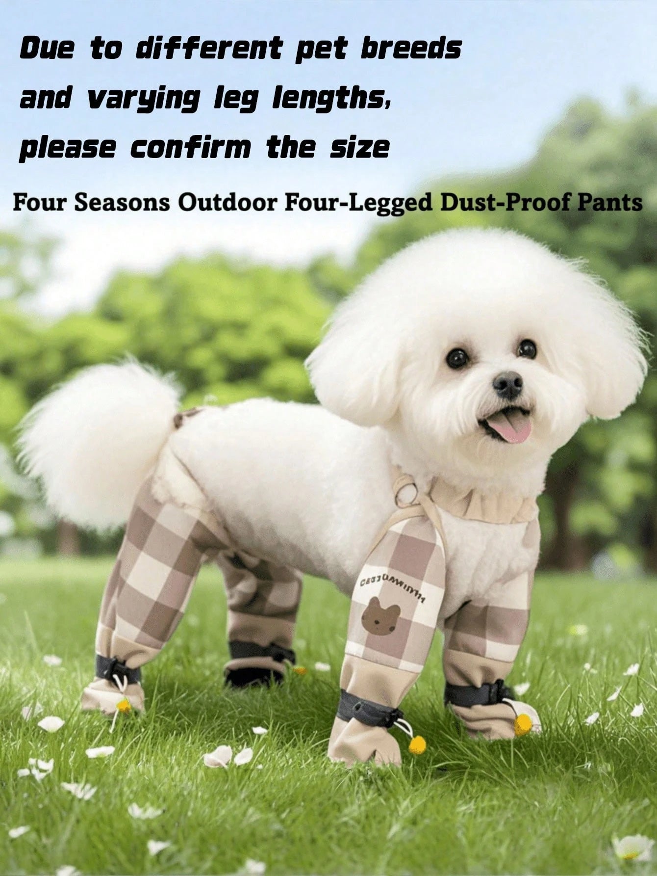 Small Dog Protective Pants with Paw Shoes – Waterproof Outdoor Set