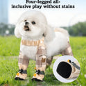 Small Dog Protective Pants with Paw Shoes – Waterproof Outdoor Set