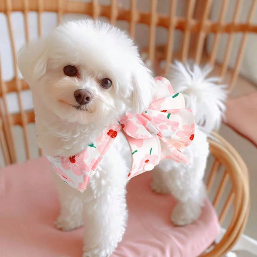Princess Style Pet Dress with Leash – Cute Cat & Dog Walking Harness
