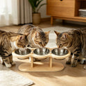Elevated Cat Bowl Set with Wooden Stand – 3 Stainless Steel Bowls