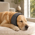 Dog Noise-Reducing Ear Muffs – Calming Ear Cover for Dogs