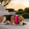 Dog Noise-Reducing Ear Muffs – Calming Ear Cover for Dogs