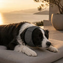 Dog Noise-Reducing Ear Muffs – Calming Ear Cover for Dogs