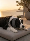 Dog Noise-Reducing Ear Muffs – Calming Ear Cover for Dogs