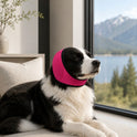 Dog Noise-Reducing Ear Muffs – Calming Ear Cover for Dogs