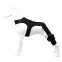 Adjustable Dog Knee Braces – Dual-Leg Support for Dogs