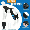 Adjustable Dog Knee Braces – Dual-Leg Support for Dogs