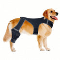 Adjustable Dog Knee Braces – Dual-Leg Support for Dogs