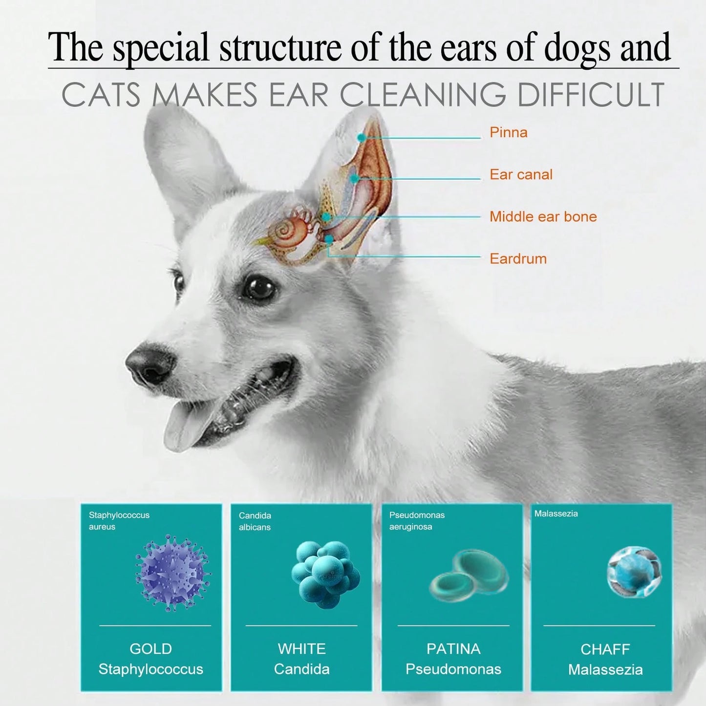 Pet Ear Drops for Cats & Dogs | Gentle Ear Cleaning Solution