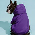 Purple Fleece Pet Hoodie – Warm Coat for Dogs & Cats
