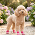Dog Rain Boots – Waterproof Non-Slip Paw Protection Shoes | 2 Pairs