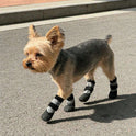 Dog Rain Boots – Waterproof Non-Slip Paw Protection Shoes | 2 Pairs
