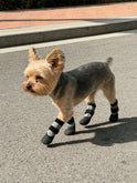Dog Rain Boots – Waterproof Non-Slip Paw Protection Shoes | 2 Pairs