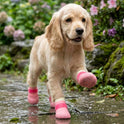 Dog Rain Boots – Waterproof Non-Slip Paw Protection Shoes | 2 Pairs