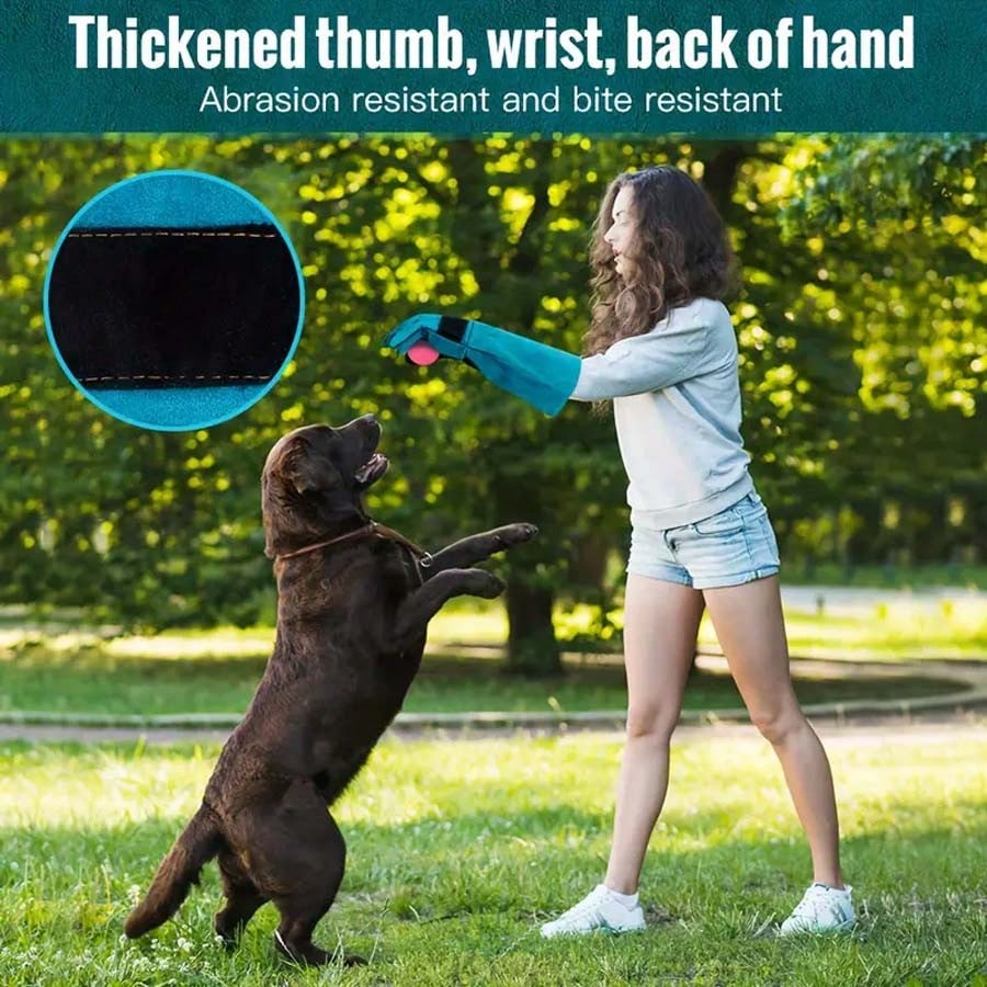 Bite & Scratch Resistant Animal Handling Gloves | Heavy-Duty Protective Gloves