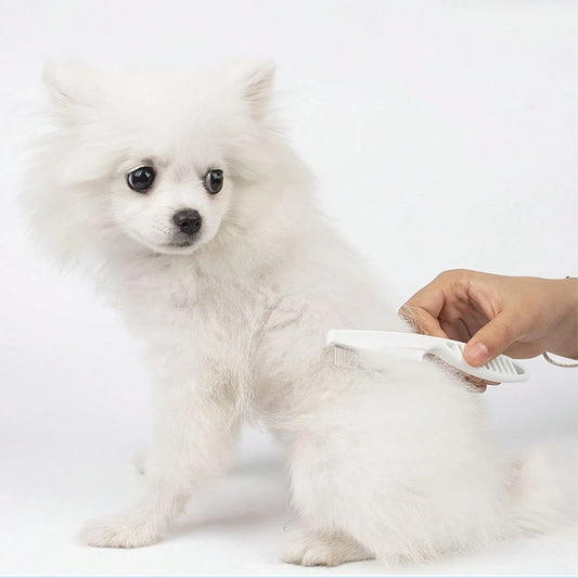 Pet Grooming Comb Set | Dog & Cat Hair Care Brushes (Set of 2 - Big & Small)