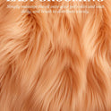 Pet Hair Care Oil for Dogs & Cats | Detangling Leave-In Conditioner (30ml)