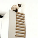 Hanging Sisal Cat Climbing Ladder – Wall-Mounted Scratching & Climbing Toy