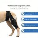 Adjustable Dog Knee Brace – Rear Leg Support for Large Dogs