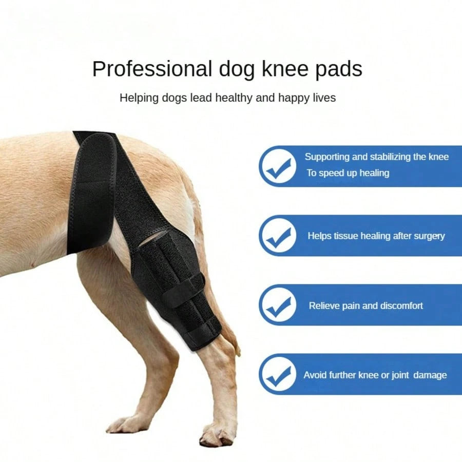 Adjustable Dog Knee Brace – Rear Leg Support for Large Dogs