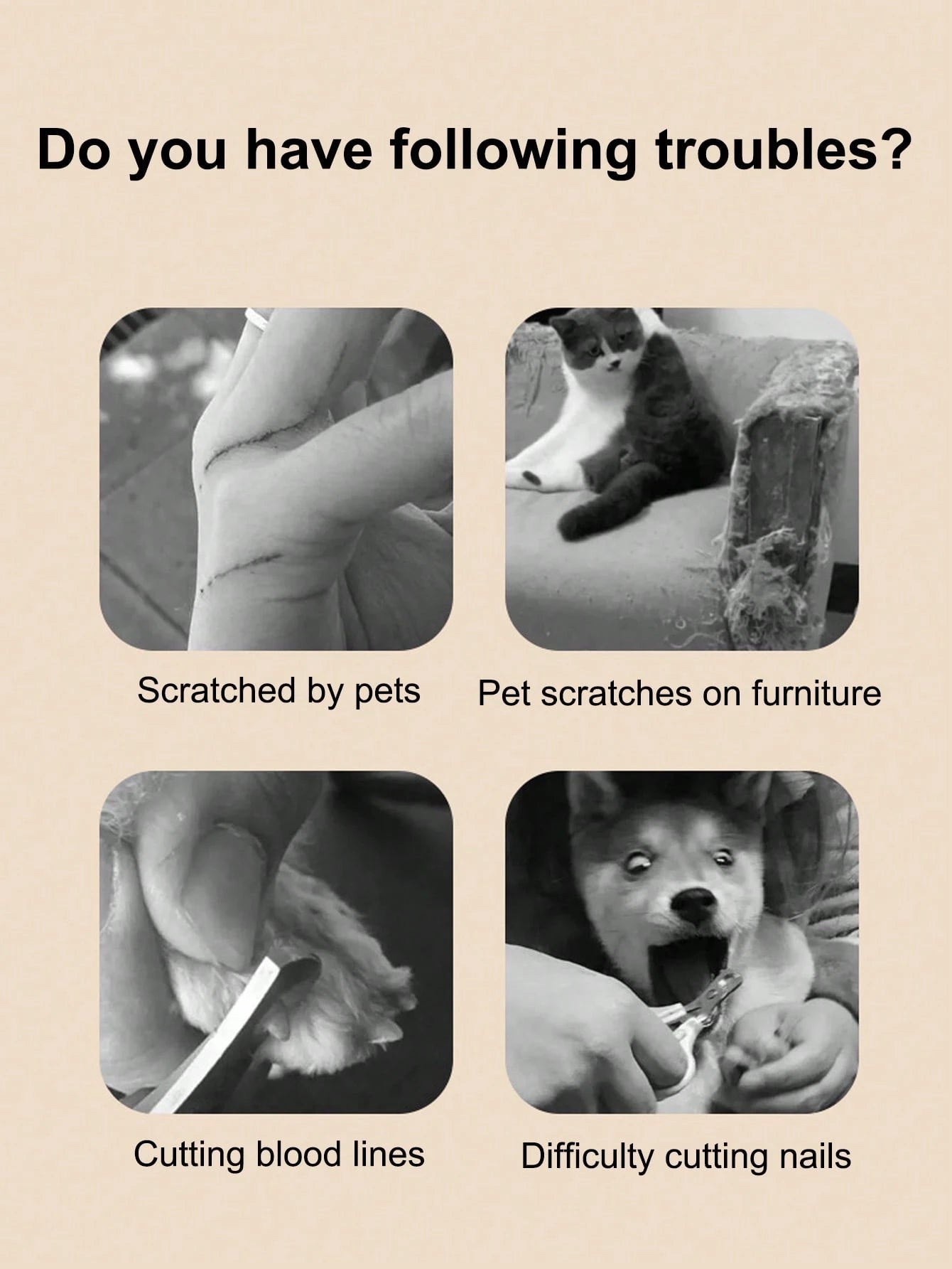 Automatic Pet Nail Grinder for Dogs & Cats | Low Noise Trimmer