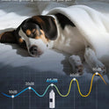 Electric Pet Nail Grinder with LED Light – 4-Speed Rechargeable Nail Trimmer for Dogs & Cats