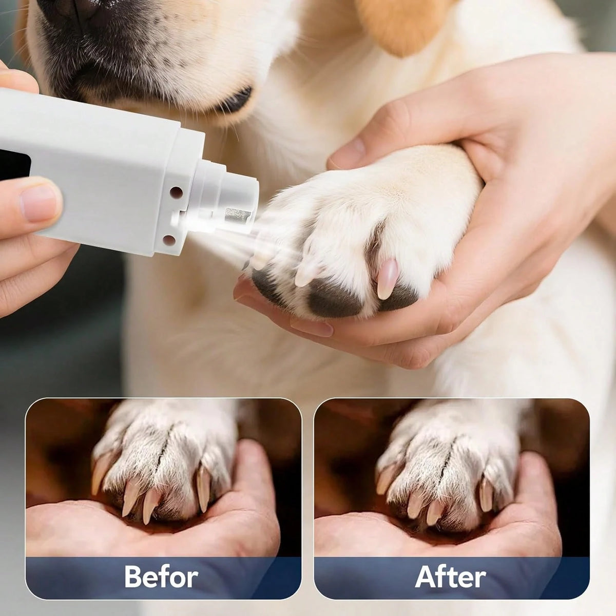 Electric Pet Nail Grinder with LED Light – 4-Speed Rechargeable Nail Trimmer for Dogs & Cats