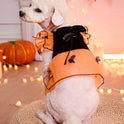 Halloween Bat Dog Costume – Orange Tulle Dress with Bow