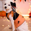 Halloween Bat Dog Costume – Orange Tulle Dress with Bow