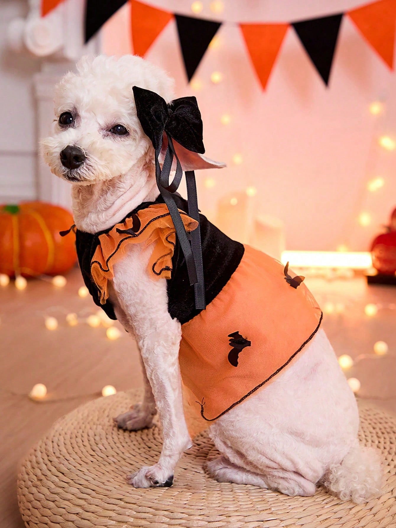 Halloween Bat Dog Costume – Orange Tulle Dress with Bow