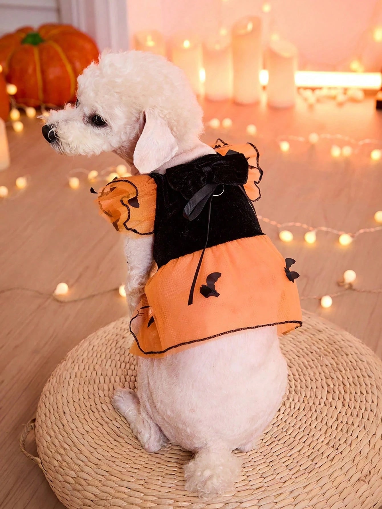 Halloween Bat Dog Costume – Orange Tulle Dress with Bow