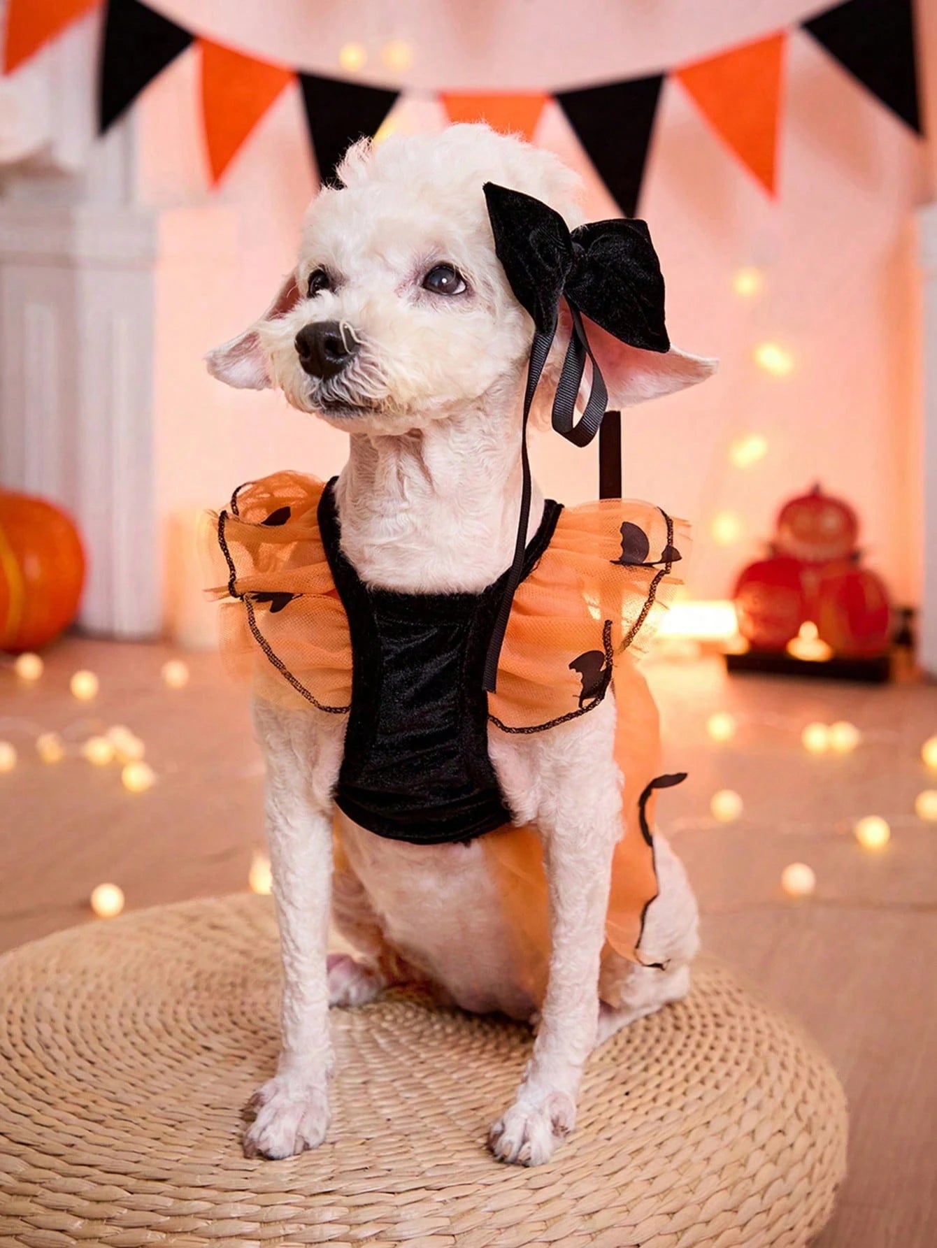 Halloween Bat Dog Costume – Orange Tulle Dress with Bow