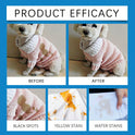 Pet Laundry Detergent Powder 100g – Dog & Cat Stain & Odor Remover