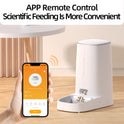 ROJECO 4L WiFi Automatic Pet Feeder | Smart Pet Food Dispenser