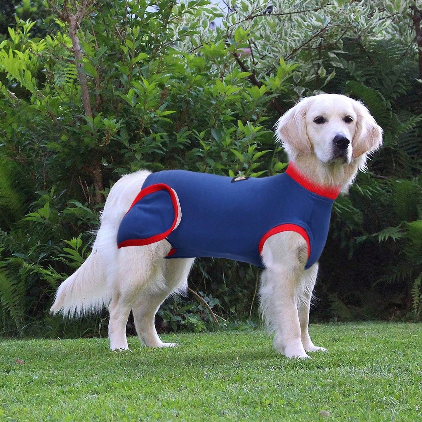 Post-Surgery Dog Recovery Suit | Soft Medical Recovery Shirt for Dogs & Cats
