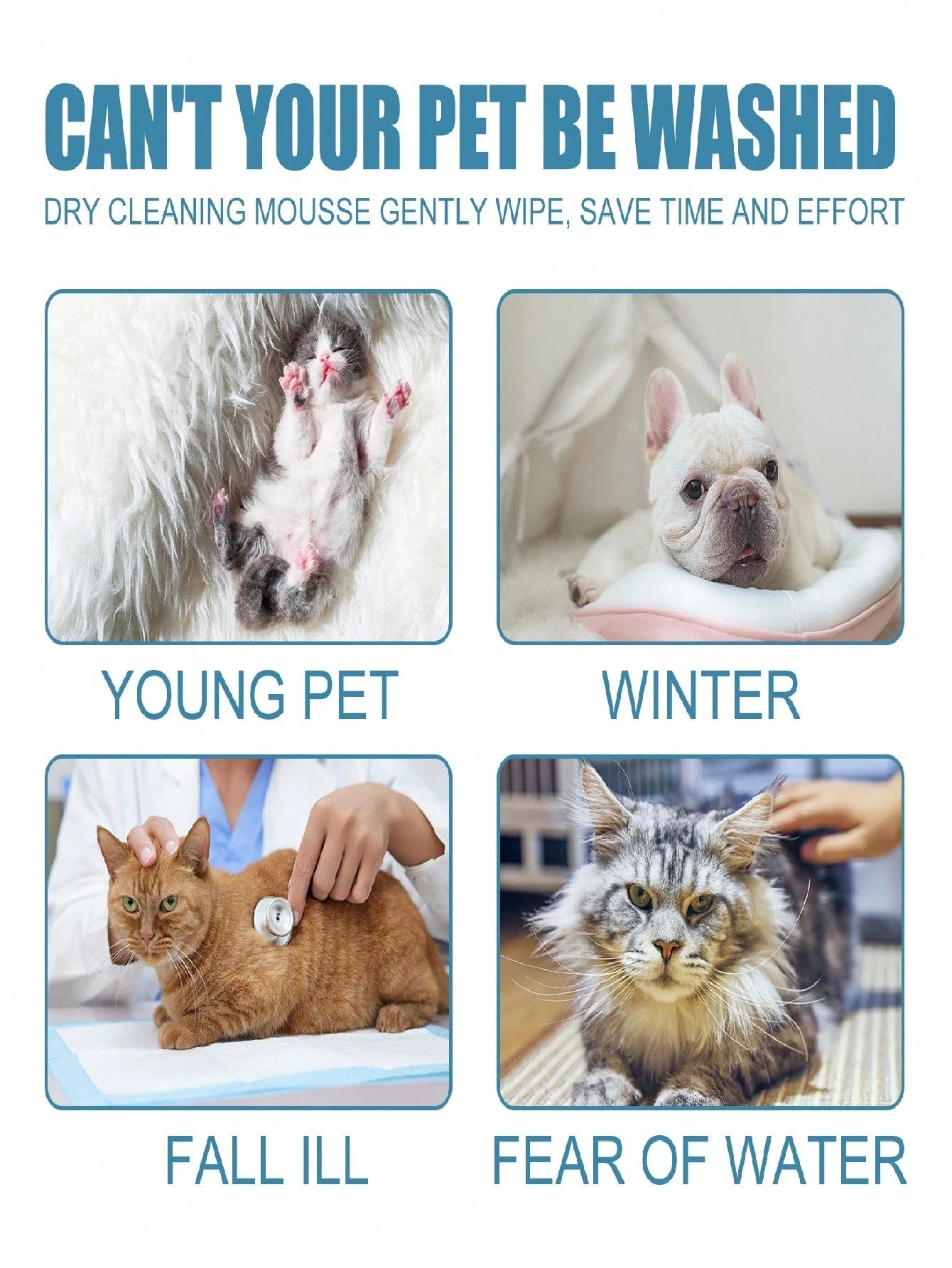 Waterless Pet Dry Shampoo Mousse | No-Rinse Cleanser for Cats & Dogs (60ml)