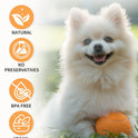 Coconut Pet Detangling Spray for Dogs & Cats | Leave-In Coat Spray