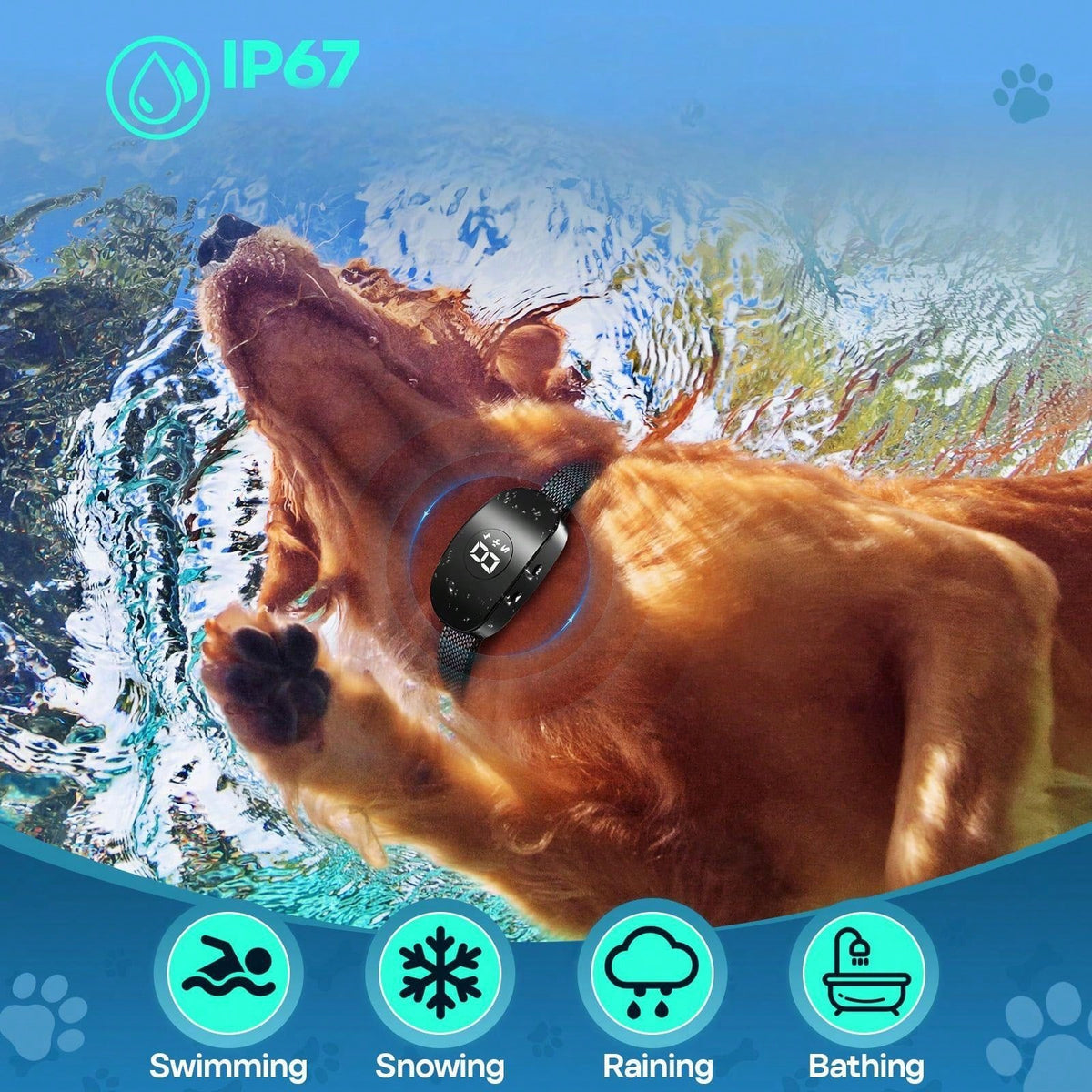 Anti-Bark Training Collar for Dogs | Beep & Vibration