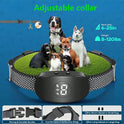 Anti-Bark Training Collar for Dogs | Beep & Vibration