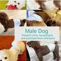 Leak-Proof Dog Diapers – Super Absorbent Disposable Pet Pads