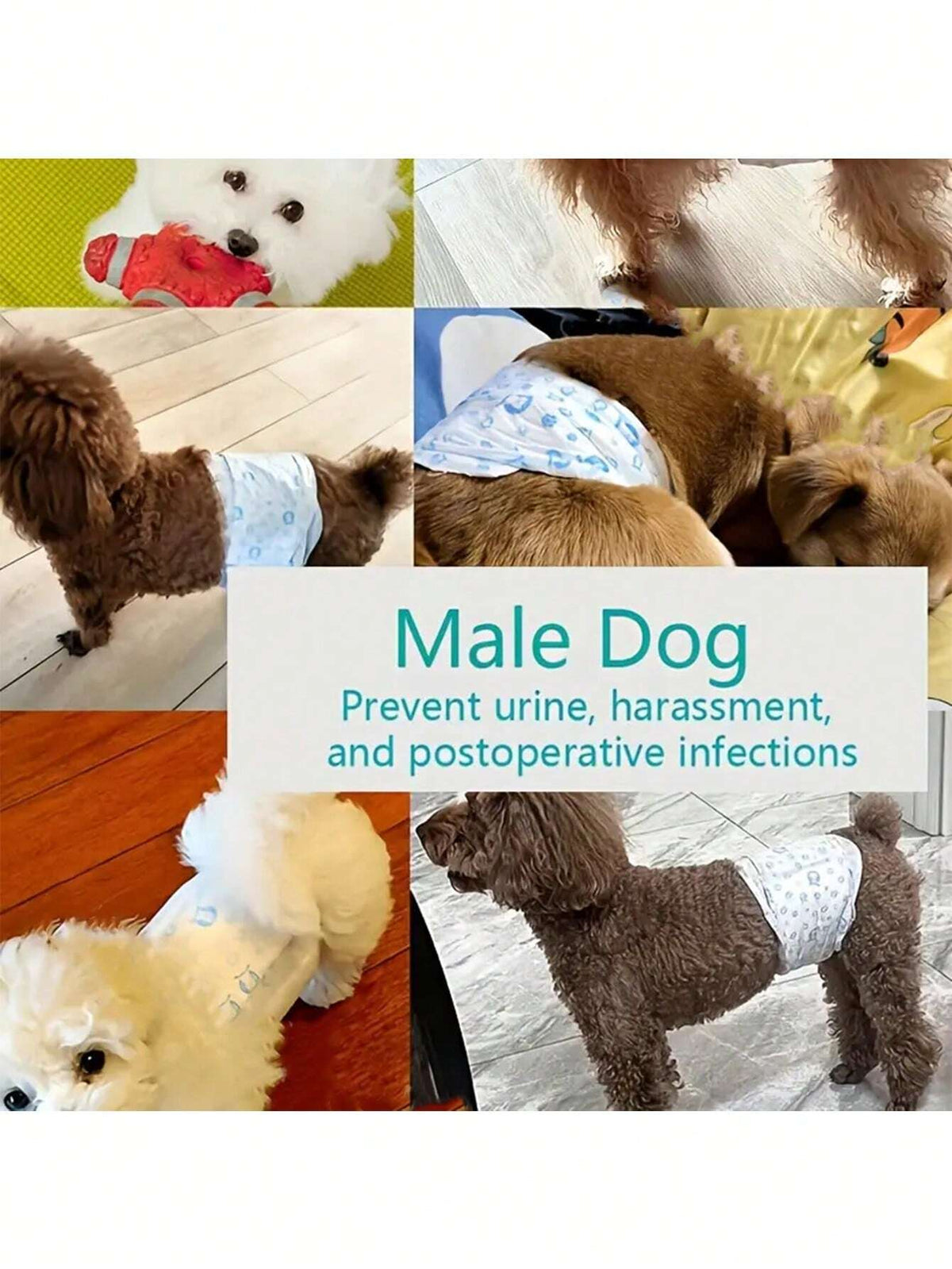 Leak-Proof Dog Diapers – Super Absorbent Disposable Pet Pads