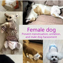 Leak-Proof Dog Diapers – Super Absorbent Disposable Pet Pads