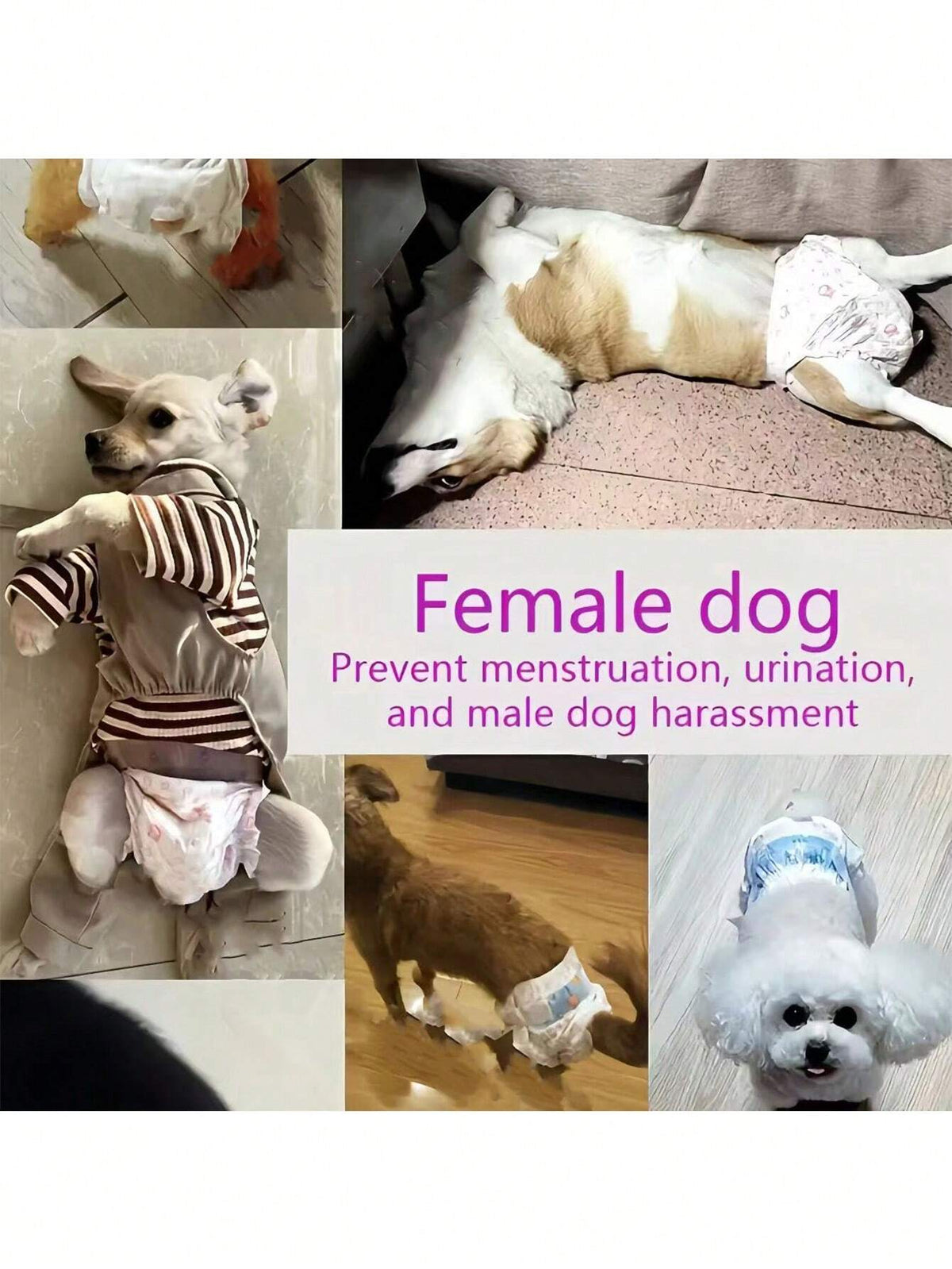 Leak-Proof Dog Diapers – Super Absorbent Disposable Pet Pads