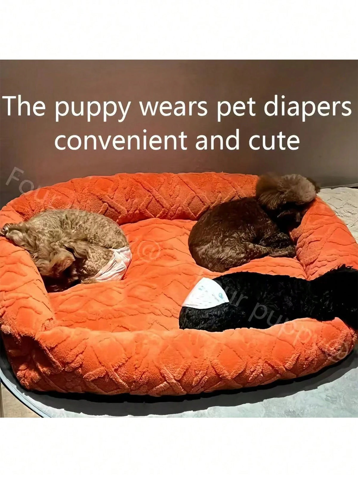 Leak-Proof Dog Diapers – Super Absorbent Disposable Pet Pads