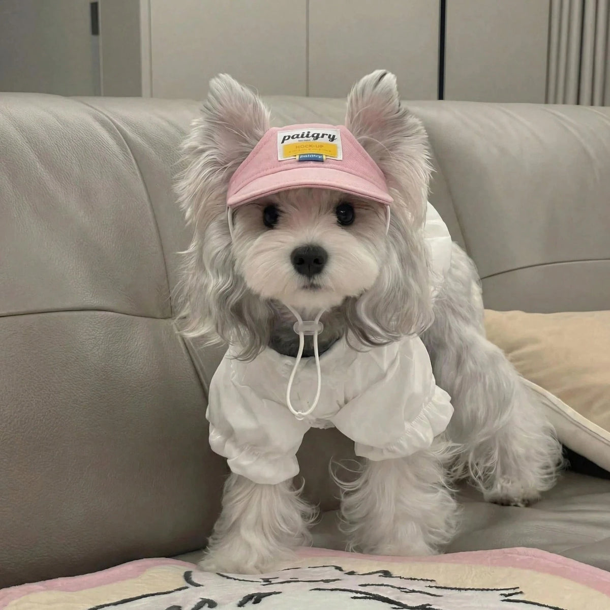 Adjustable Pet Sun Hat – Hat for Dogs & Cats