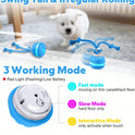 Interactive Automatic Dog Ball with Rope – Motion-Sensing Rechargeable Toy