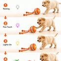 Interactive Automatic Dog Ball with Rope – Motion-Sensing Rechargeable Toy