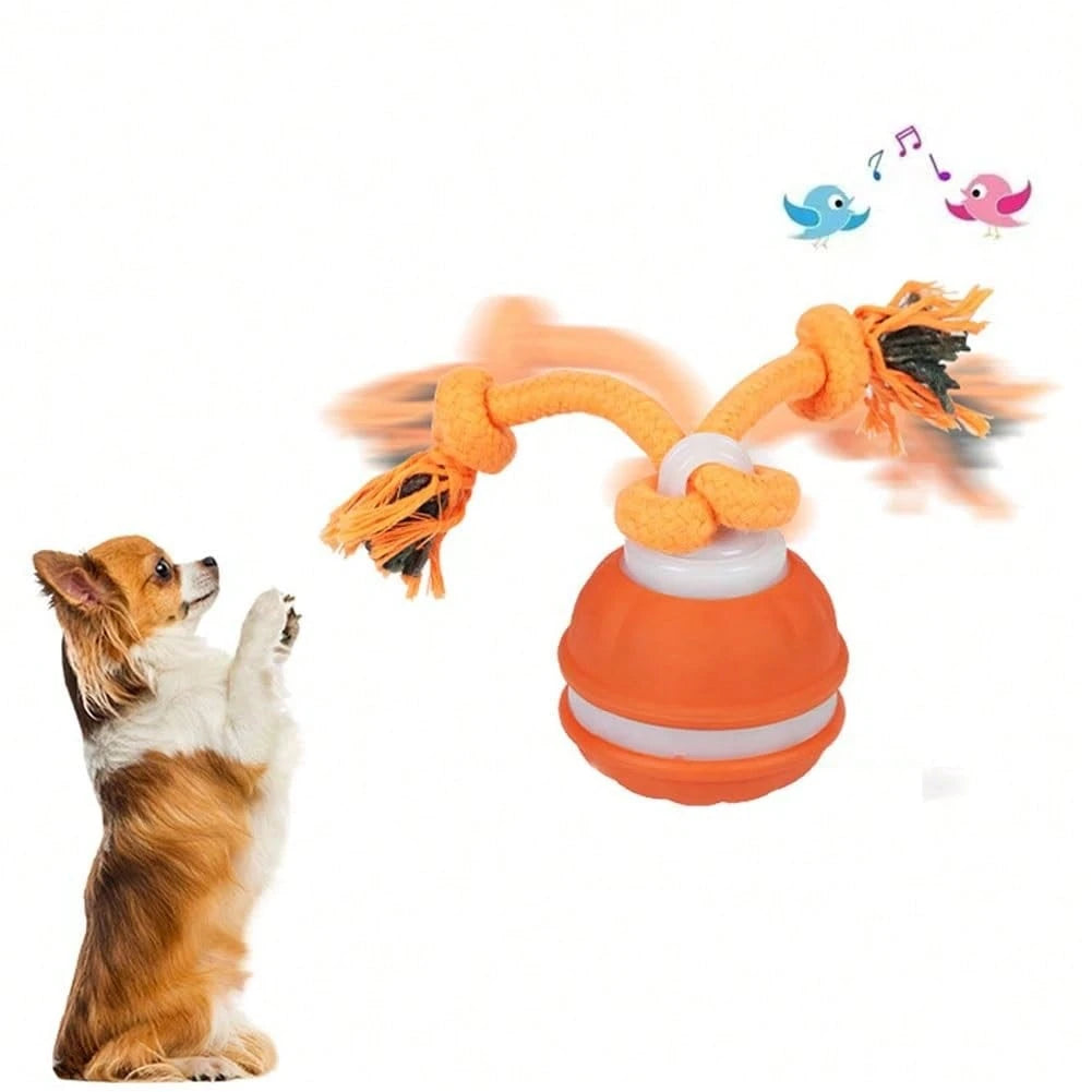 Interactive Automatic Dog Ball with Rope – Motion-Sensing Rechargeable Toy