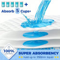 Puppy Training Pads – Super Absorbent Leakproof Pet Pee Pads | 100 Pcs