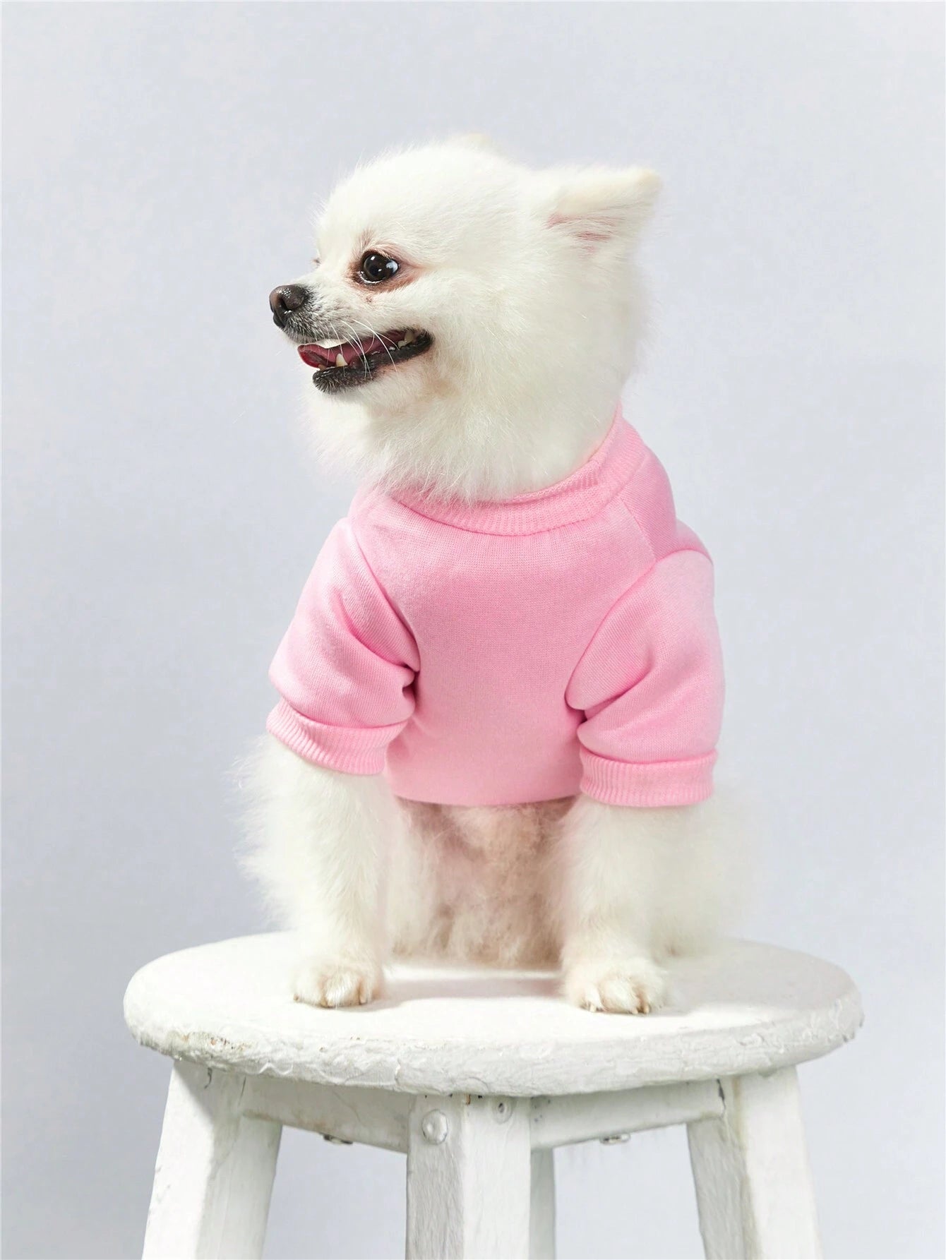 Pink Cartoon Pet Sweatshirt | Queen Crown Hoodie for Pets